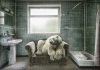 Icebear